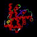 Myoglobin