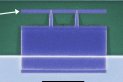 Berry's phase qubit