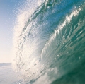 Monster-wave tracking