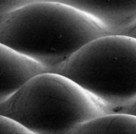 Adaptive optics
