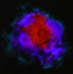 Dark Stars