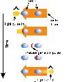 Messenger atoms