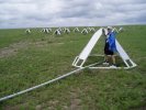 Long Wavelength Array