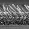 Graded-index nanorods