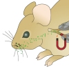 Drug delivery
