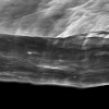 Graphene oxide paper