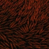 Swarming