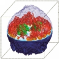tomographic phase microscopy