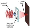Opaque lens
