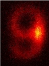 Storing images in atoms