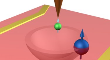 'Feeling' the magnetic fields from electron and nuclear spins