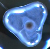Three-lobed droplet