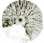 Imploded fuel capsules