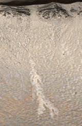 Water or sand?