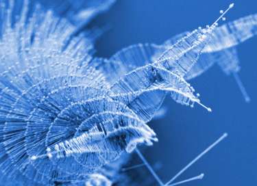 Nanowire pine trees