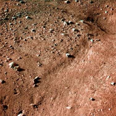 First images from Phoenix mission