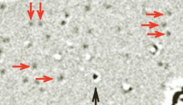 Hydrogen and carbon atoms on graphene