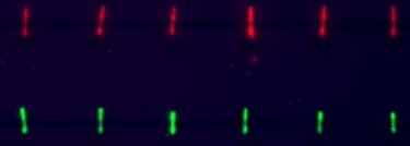 Nanowires in a row