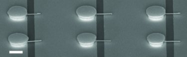 Nanowires affixed in place
