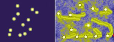 Computer simulations of the dust build-up behind rocks