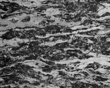 Formed in a cool ocean?