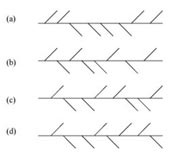 The four best eights