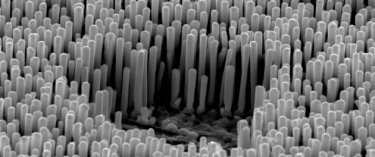Metallic glass rods on alumina