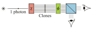 Taking a good look at cloning