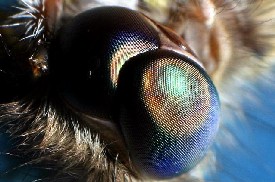 Moth eye tapered nanostructure