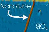 Nanotube on silicon dioxide