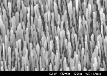 Silver nanowires on a silicon substrate