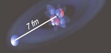 Halo nucleus