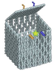 DNA opens nano-box