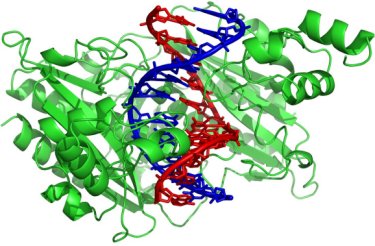 Swarming proteins