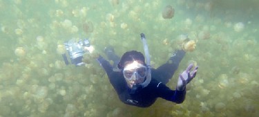 Jellyfish motion