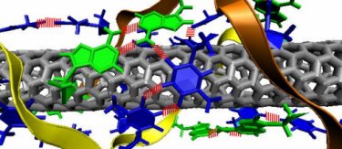 Decorating a carbon nanotube with DNA