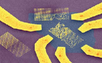 False-colour SEM images of SERS sample