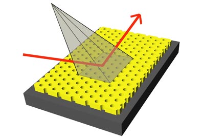 Micrographs showing the nanopillars