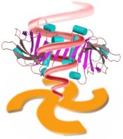 Diagram showing how super-twisted light is created