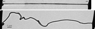 TEM images of the nanobattery
