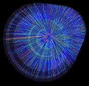 Lead collisions, imaged by the ALICE detector