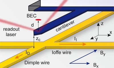 Coupling a BEC and cantilever