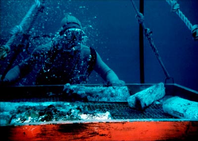 Sunken treasure