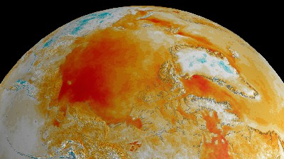 Arctic surface temperature trends 1981-2008