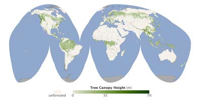 A first-of-its-kind global map shows forest canopy height