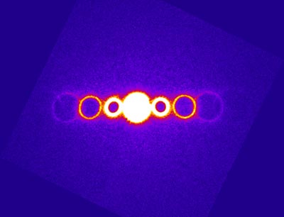 Beam profile of free electron vortices