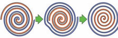 Diagrams showing the biscrolling process