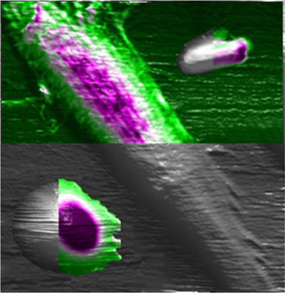 Images taken using the new AFM technique