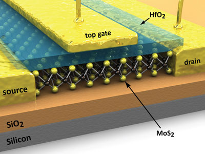 Diagram showing the structure of the first molybdenite transistor