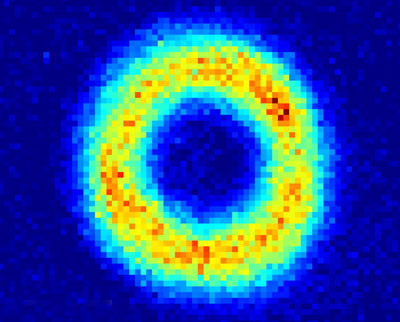 Density profile of a doughnut-shaped BEC